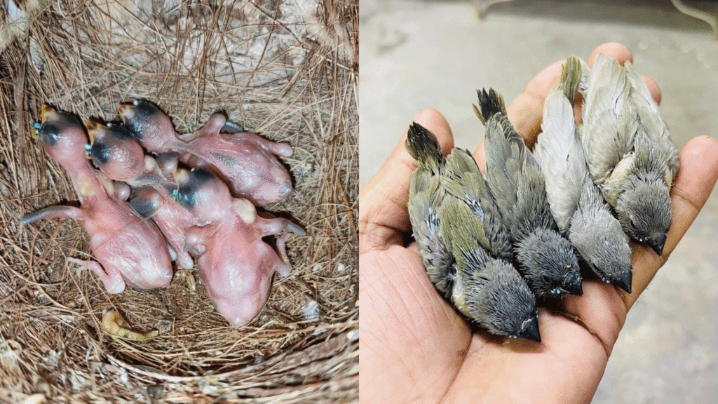 Design sans titre 58