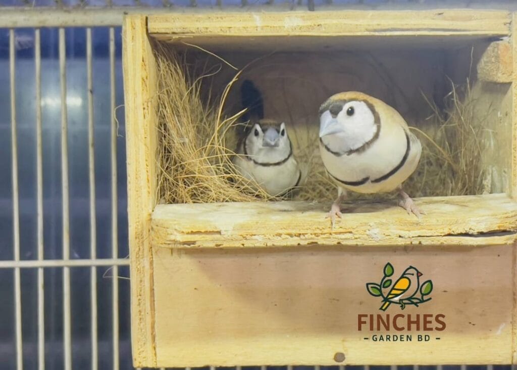 469864184 122168012714045672 4144821113068884225 n