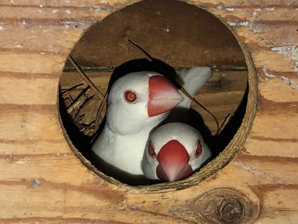 482208652 940536028269254 8038449514104810704 n