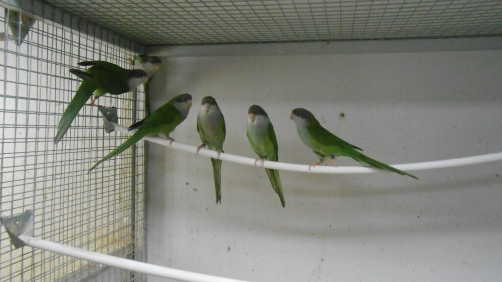 490442737 2512990972375218 8252984516512610723 n 1