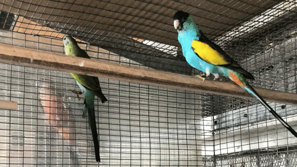 5c677340 72b7 4d08 b544 a6e963e1e4fb 1