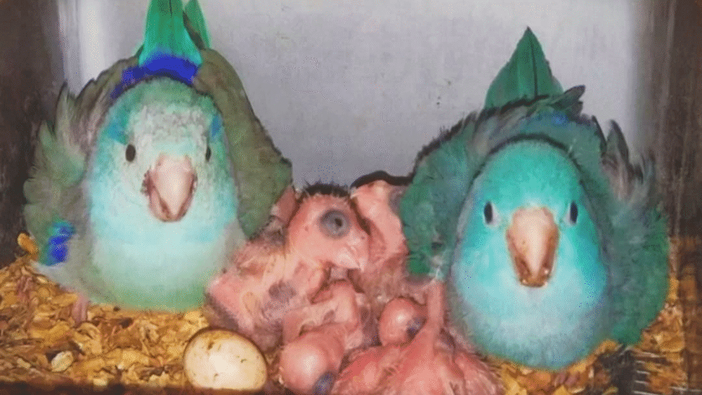 89bf2d21 bd87 4711 9fd8 c1f0d06db6cb