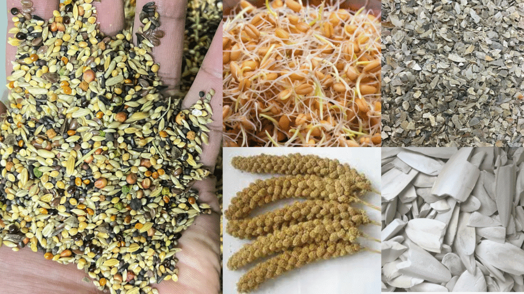 Design sans titre 20 1