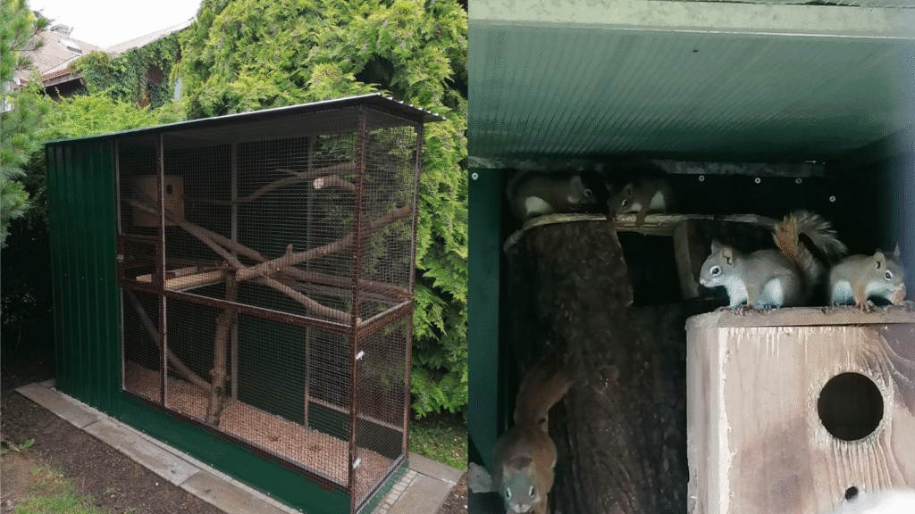 Design sans titre 52