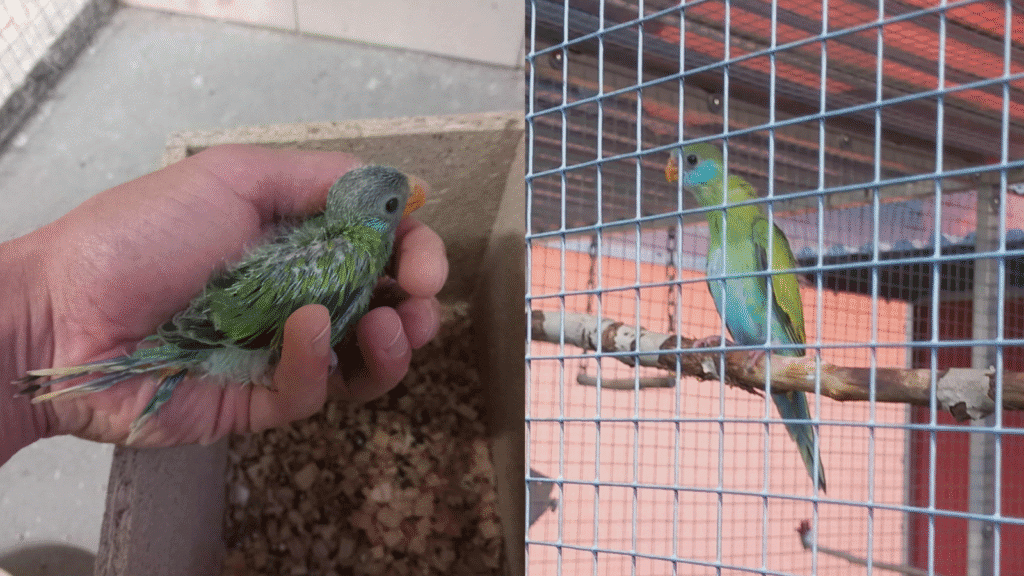 Design sans titre 56