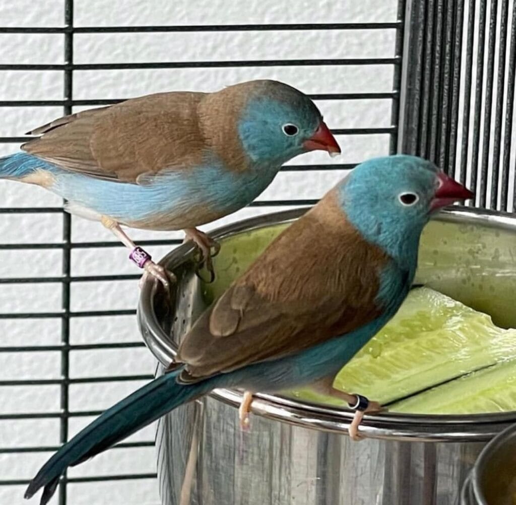 480961330 122109870032781615 7400549130294175662 n