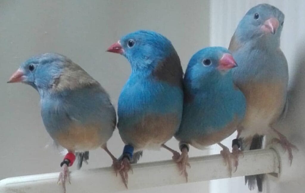 481959476 122117457566781615 7635532114286079755 n