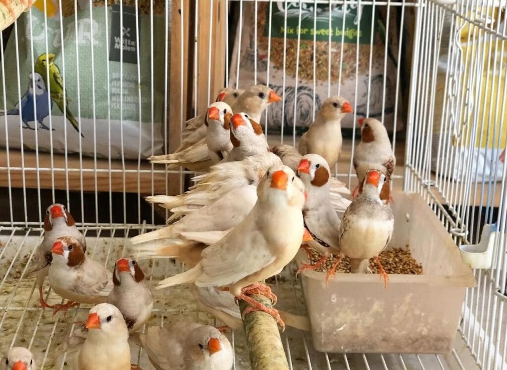 518819046 122146681808781615 8084689775004216291 n