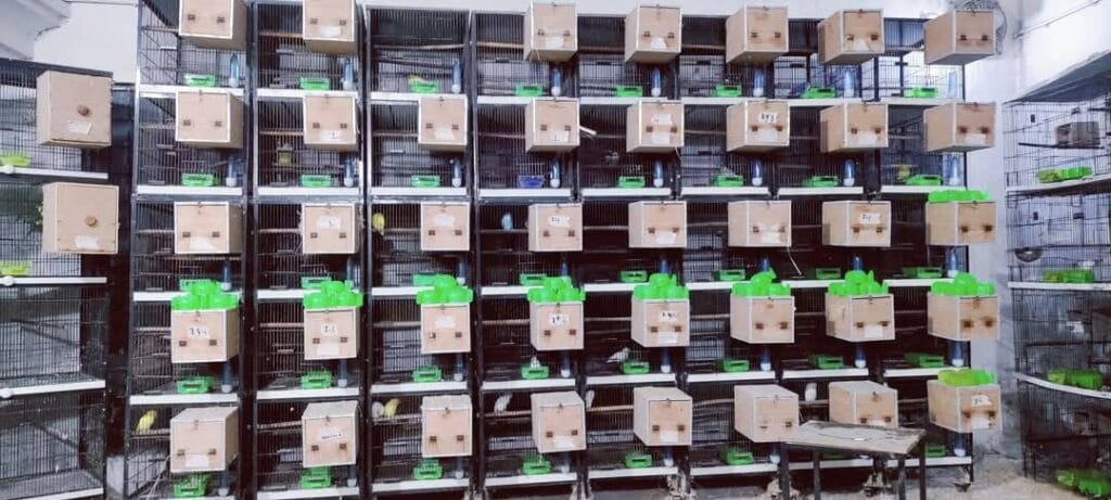 535186874 4215957265392019 8135908767467833968 n