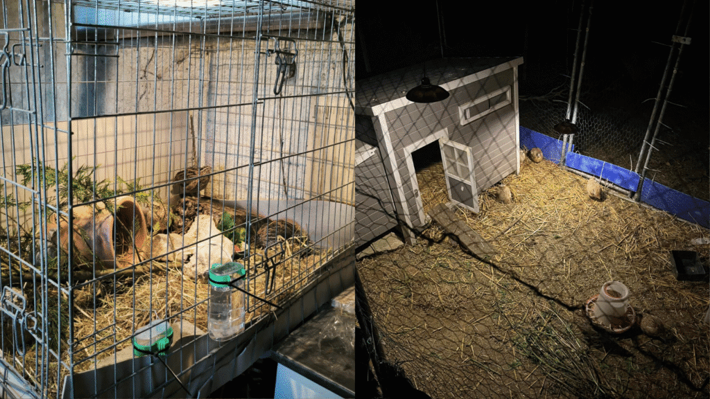 Design sans titre 90