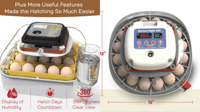 Your Guide to Choosing, Calibrating, and Equipping a Professional Hatcher Room