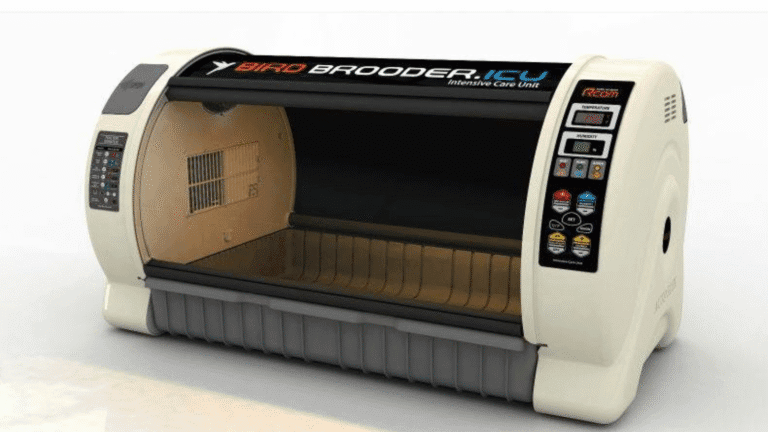 Calculating Optimal Parrot Egg Weight Loss to Guarantee Hatchability