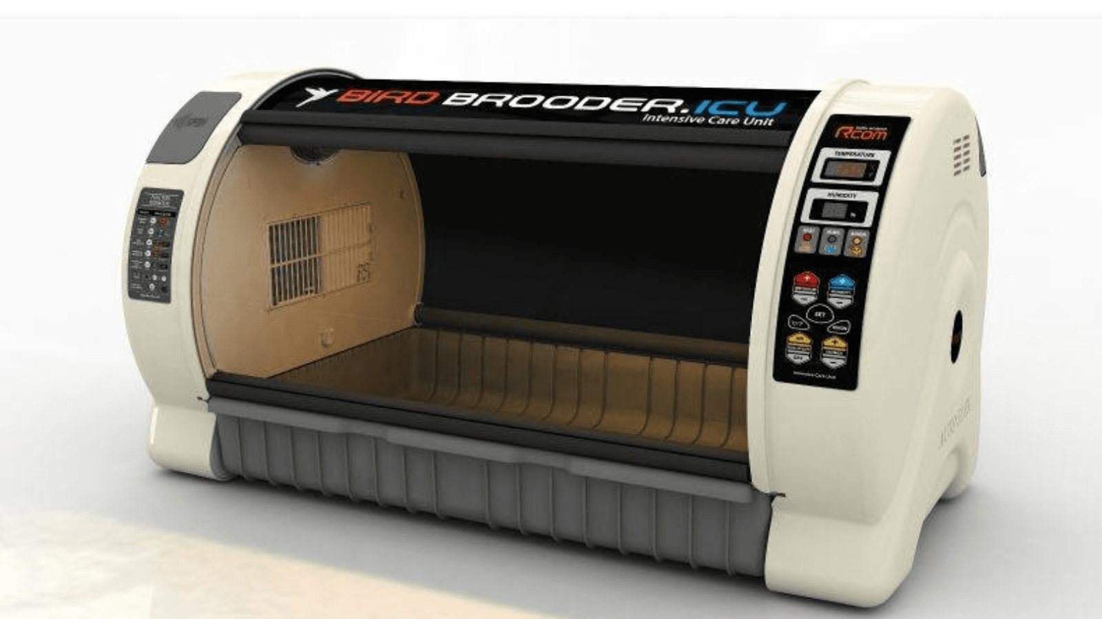 Calculating Optimal Parrot Egg Weight Loss to Guarantee Hatchability