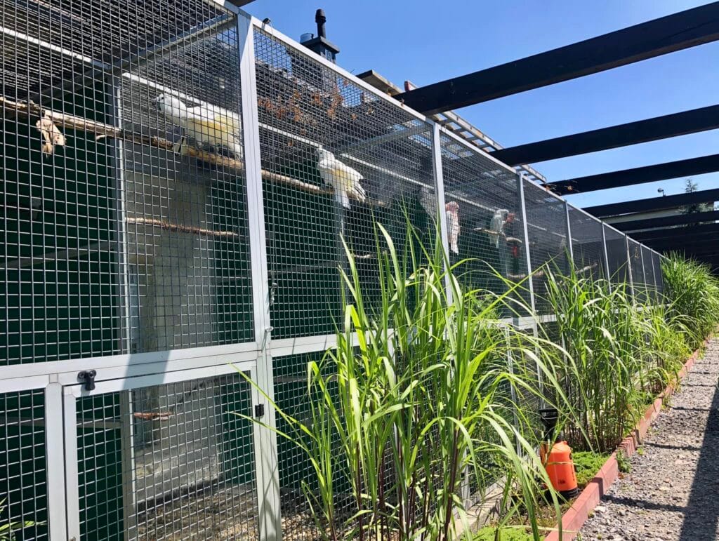 485052771 1174754827769750 7673166500826692222 n