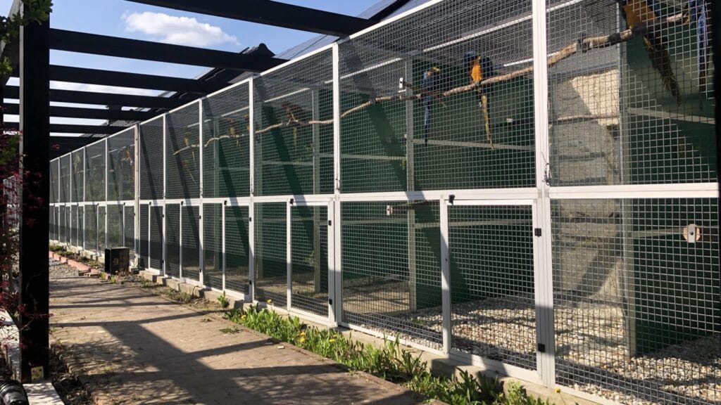 485268541 2866628613517069 2296160573585941485 n 2