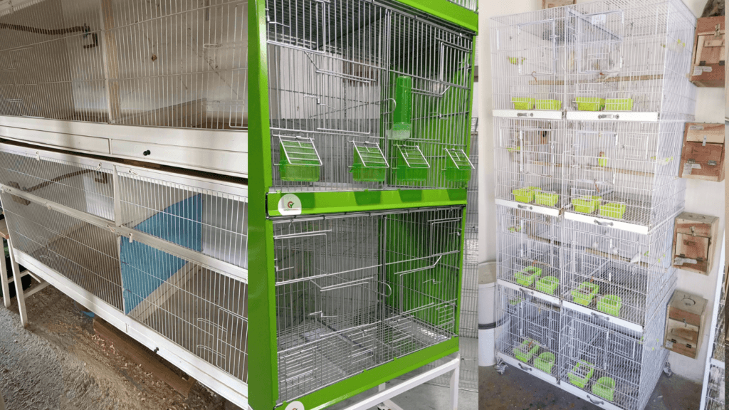 parakeet cage