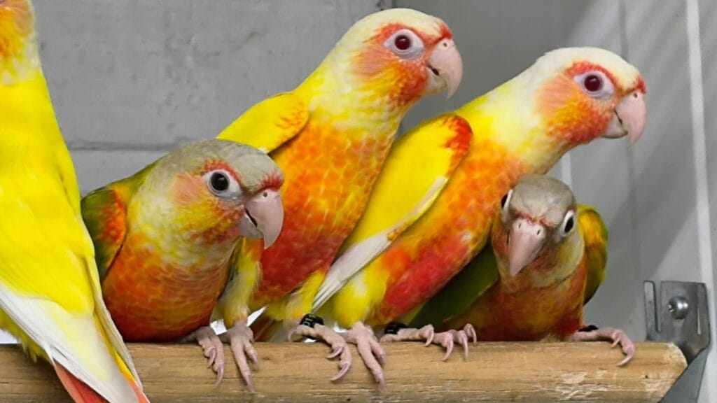 FB IMG 1753709822436