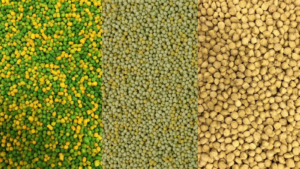 Perle Morbide: The Ultimate Guide to the Best Sprout Alternative for Canaries