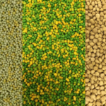 Learn how to use Perle Morbide to boost your canary breeding results. Step-by-step preparation, nutritional benefits, and tips for Red Factor color feeding.