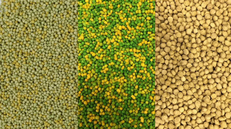 Learn how to use Perle Morbide to boost your canary breeding results. Step-by-step preparation, nutritional benefits, and tips for Red Factor color feeding.